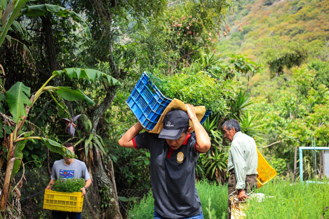 Wellkind Guatemala