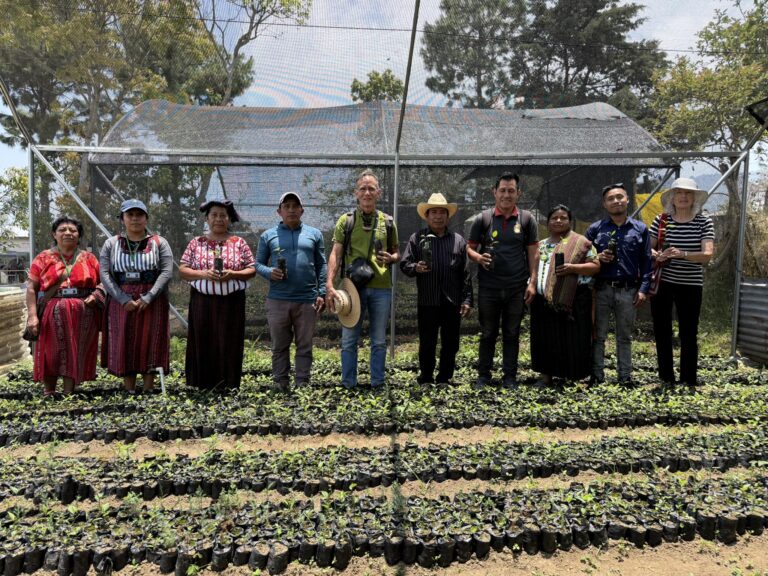 Working with The global E club based in San Diego